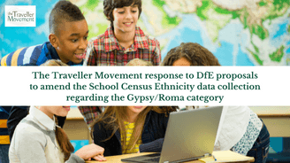 The Traveller Movement response to DfE proposals to amend the School Census Ethnicity data collection regarding the Gypsy/Roma category 